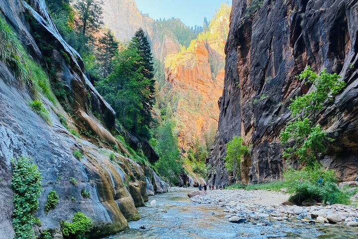 The Narrows: Zion National Park Private Guided Hike - Photo 1 of 9